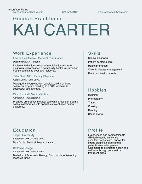 Get the most current Modern traditional professional resume form now