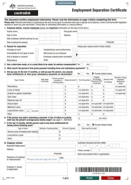 Employment Separation Certificate – Job Termination Documentation form preview
